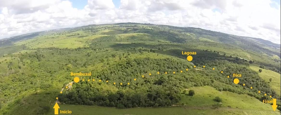 Fazenda Hotel Candeal Conceicao de Jacuipe Exteriör bild