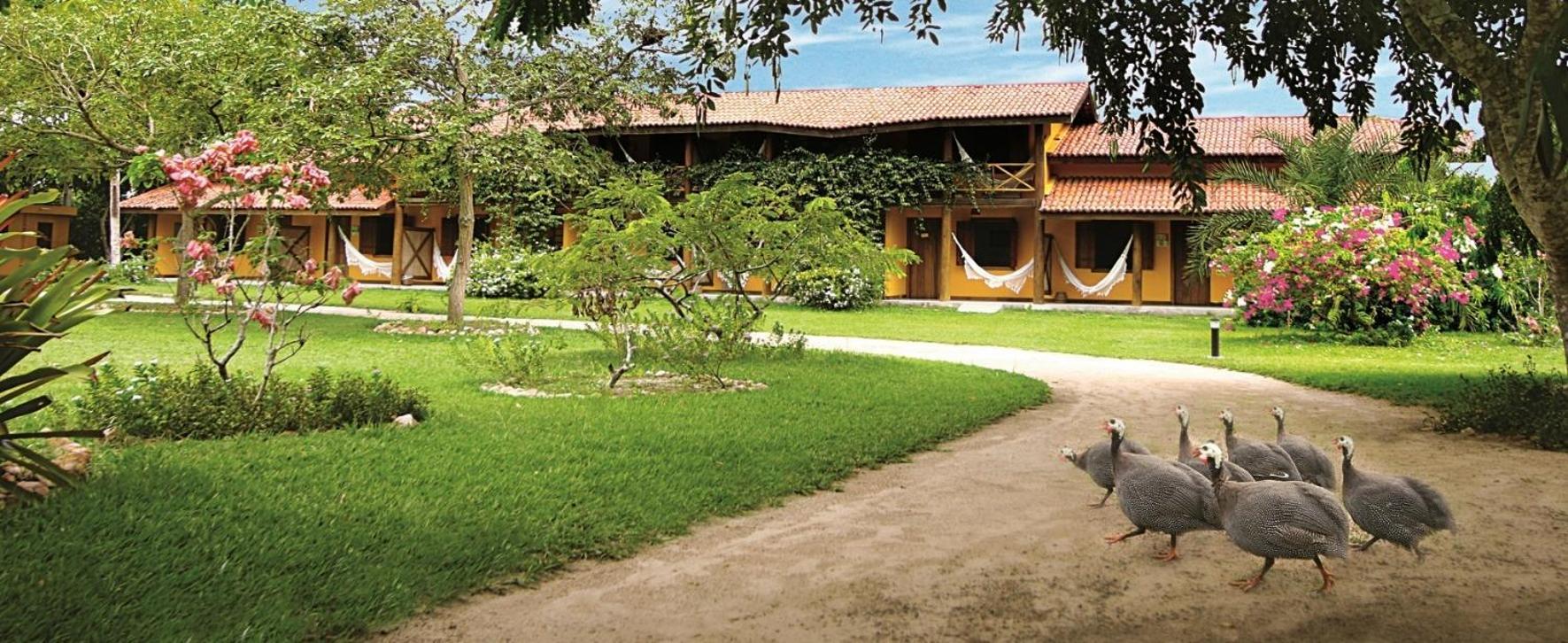 Fazenda Hotel Candeal Conceicao de Jacuipe Exteriör bild